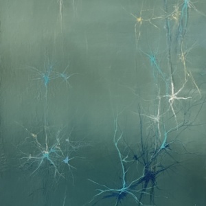 Fragments